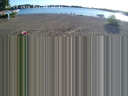 2026-05-29