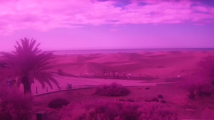2026-06-24