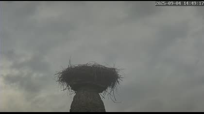 2025-09-04