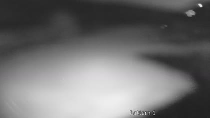 2025-08-10