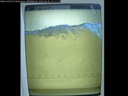 2025-04-29