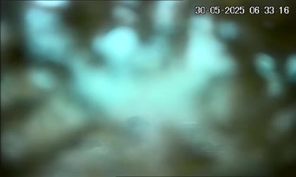 2025-05-30