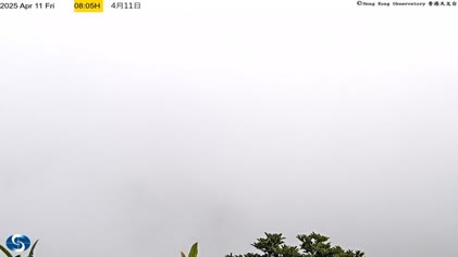 2025-04-11