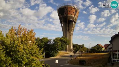 2026-08-23