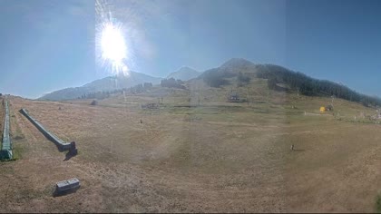 2026-07-29