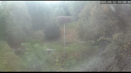 2025-09-12