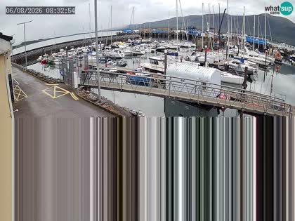 2026-08-06