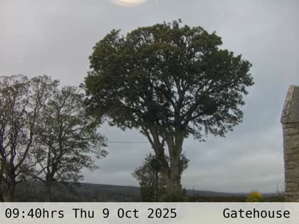 2025-10-09