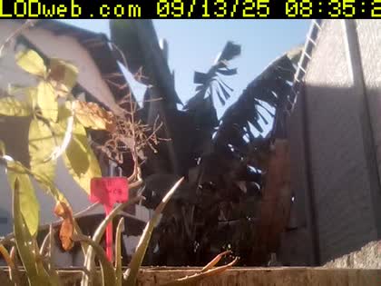 2025-09-13