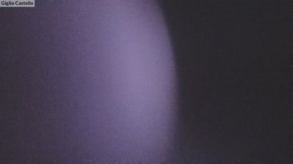 2025-07-29