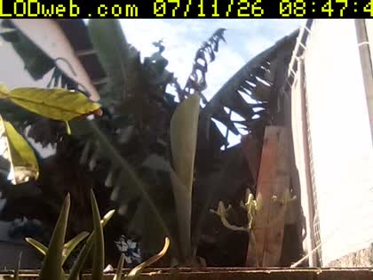 2026-07-11