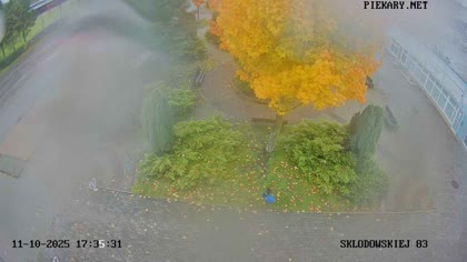 2025-10-11
