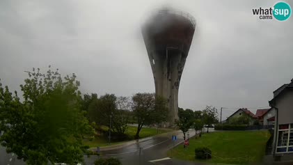 2025-05-08
