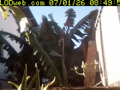 2026-07-01