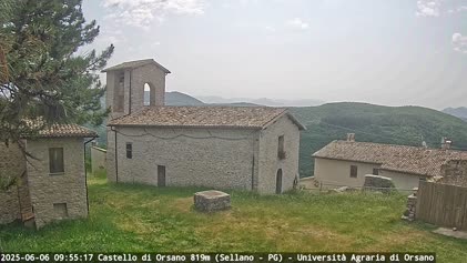 2025-06-06