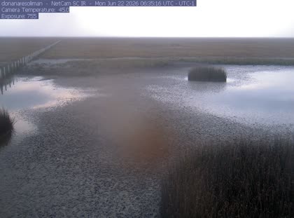 2026-06-22