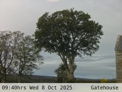 2025-10-08