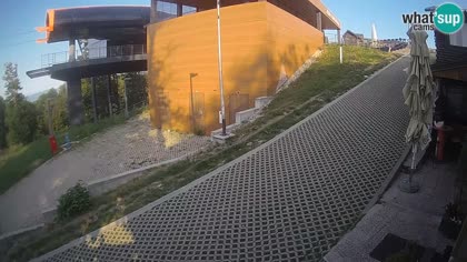 2025-08-07