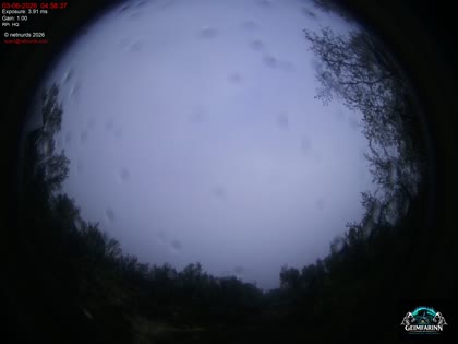 2026-06-03