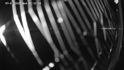 2025-07-09