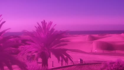 2026-06-10