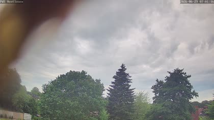 2026-06-29