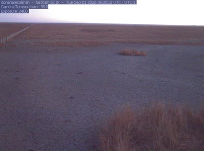 2026-09-01