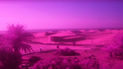 2026-09-02