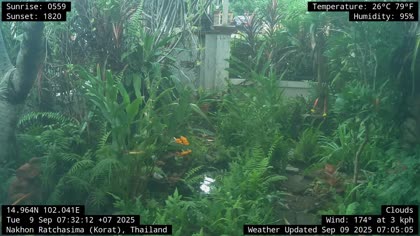 2025-09-09