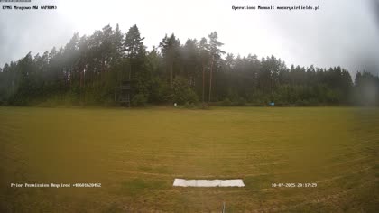 2025-07-10