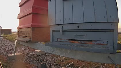 2025-05-06