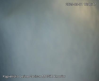 2025-09-01
