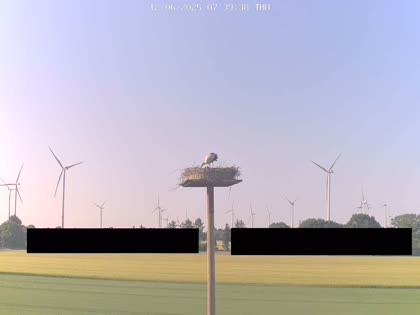 2025-06-12