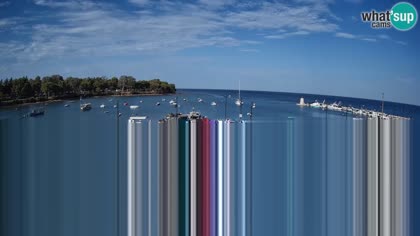 2026-08-12