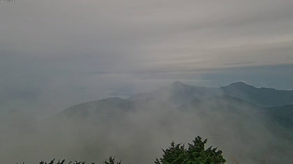 2025-10-11