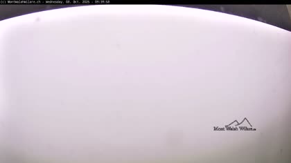 2025-10-08