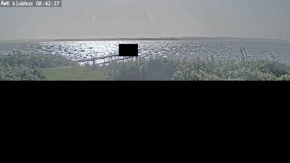 2025-08-05