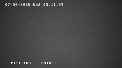 2025-07-30