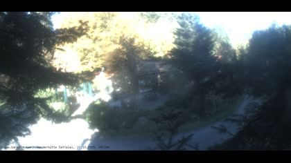 2025-10-11