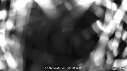 2025-07-28