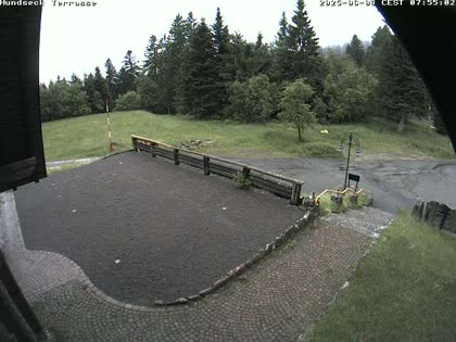 2025-06-08