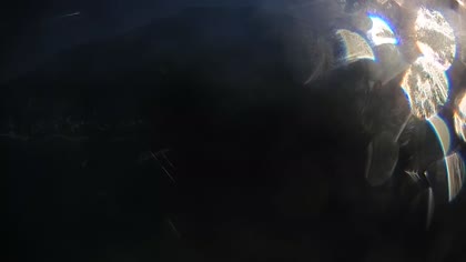 2026-07-11