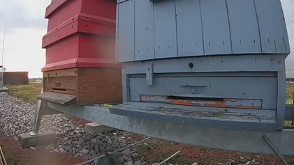 2025-05-16