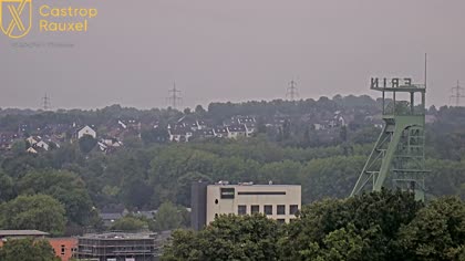 2025-07-31