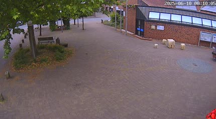 2025-06-10