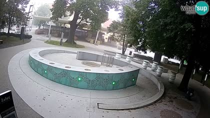 2025-09-15