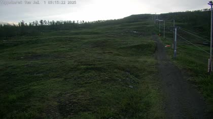 2025-07-01
