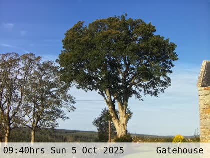 2025-10-05