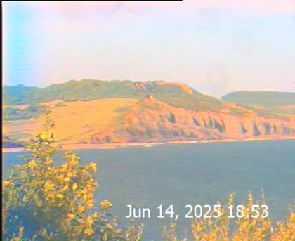 2025-06-15