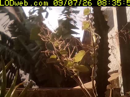 2026-09-07